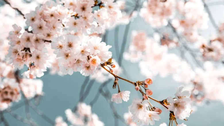 Verse of the Day | May 29, 2026
